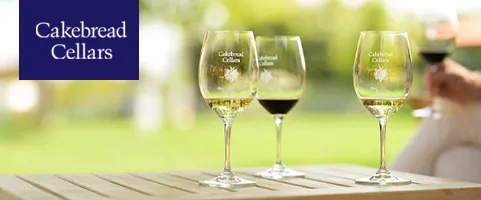 Marketing Cloud Data Cleanup Duplicate Removal CBC Banner