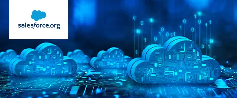 Salesforce Org Consolidation and Data Migration banner