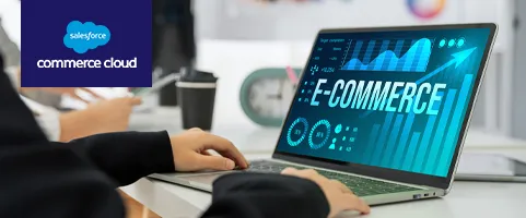 eCommerce Solution on Salesforce banner